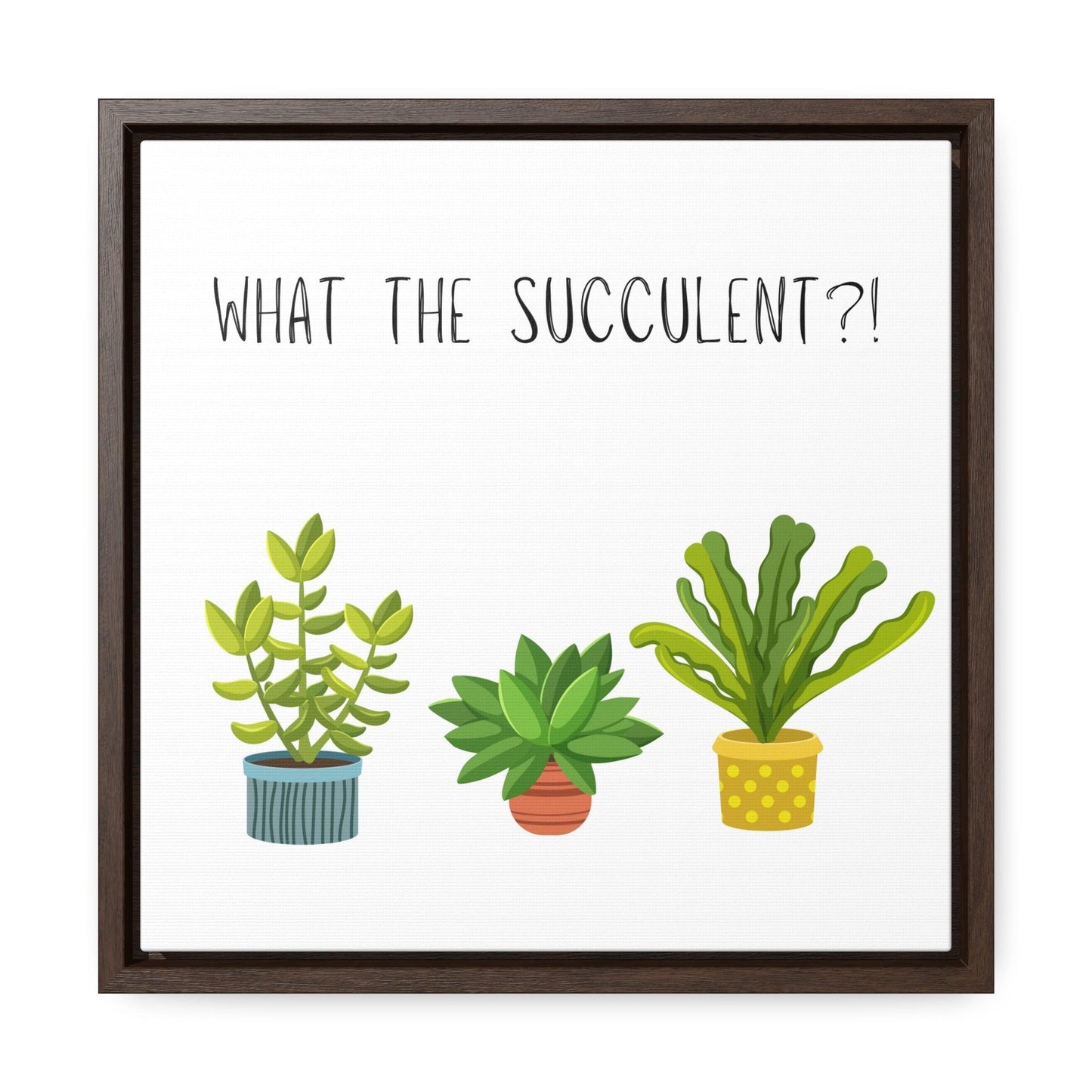 "What the Succulent?!" - Gallery Canvas Wraps, Square Frame - Moxie Graphics
